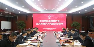 丝丽雅集团召开党委理论学习中心组学习会议专题学习贯彻中国共产党宜宾市第六次代表大会精神