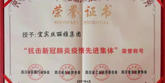 点赞！丝丽雅集团再获“抗疫先进”荣誉表彰！