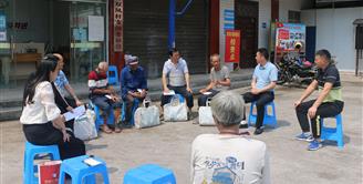 丝丽雅集团党委到双凤村开展“大走访 大调研 大慰问”活动