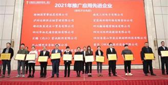 宜宾丝丽雅集团荣获2021—2022年中国（四川）国际贸易“单一窗口”推广应用先进单位