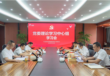 丝丽雅集团召开党委理论学习中心组学习会  部署推进大兴调查研究工作