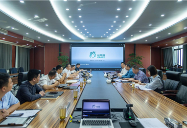 宜宾市政府副市长李劲松一行到丝丽雅集团调研指导工作