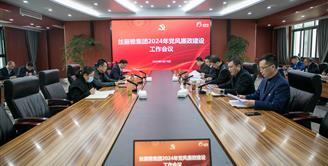 丝丽雅集团召开2024年党风廉政建设工作会议