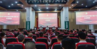 丝丽雅集团召开党委（扩大）会议 传达学习中共宜宾市委六届八次全会精神