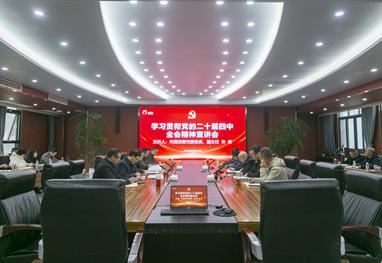 市国资委党委委员、副主任许彬向丝丽雅集团干部职工宣讲党的二十届四中全会精神