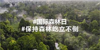2025年国际森林日 | 守护森林 你我同行