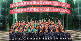 丝丽雅集团召开2026年度工作大会暨六届九次职工代表大会、六届六次会员代表大会